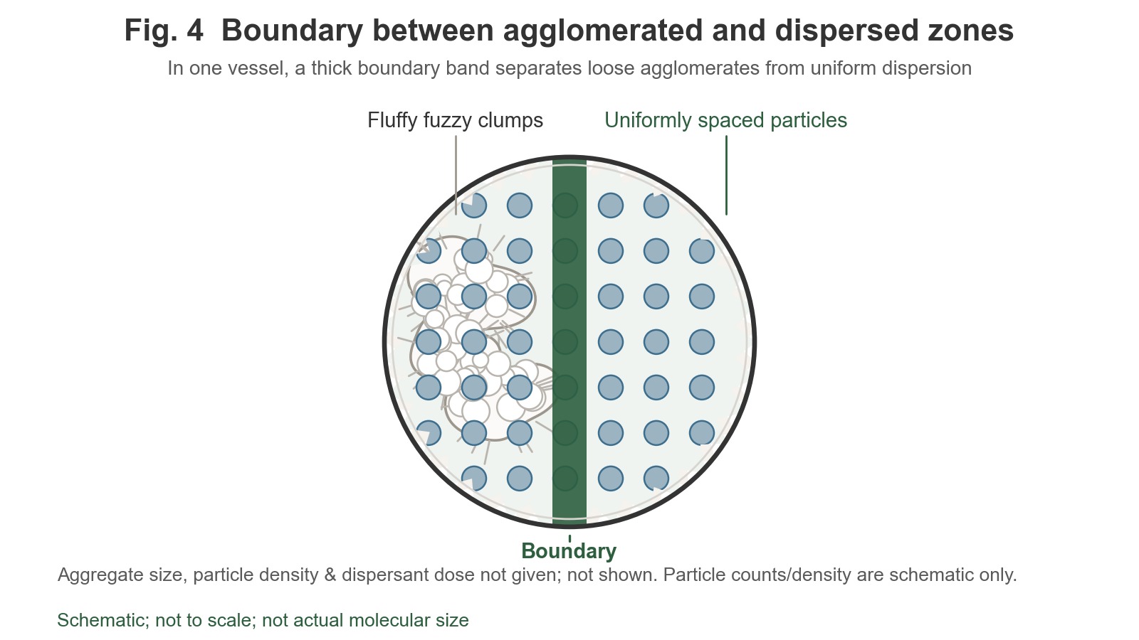 Top-view schematic: a circular container is divided into two sides by a thick boundary line. The left side contains fluffy, rough white flocculent agglomerates, while the right side contains uniformly dispersed, equidistant particles.