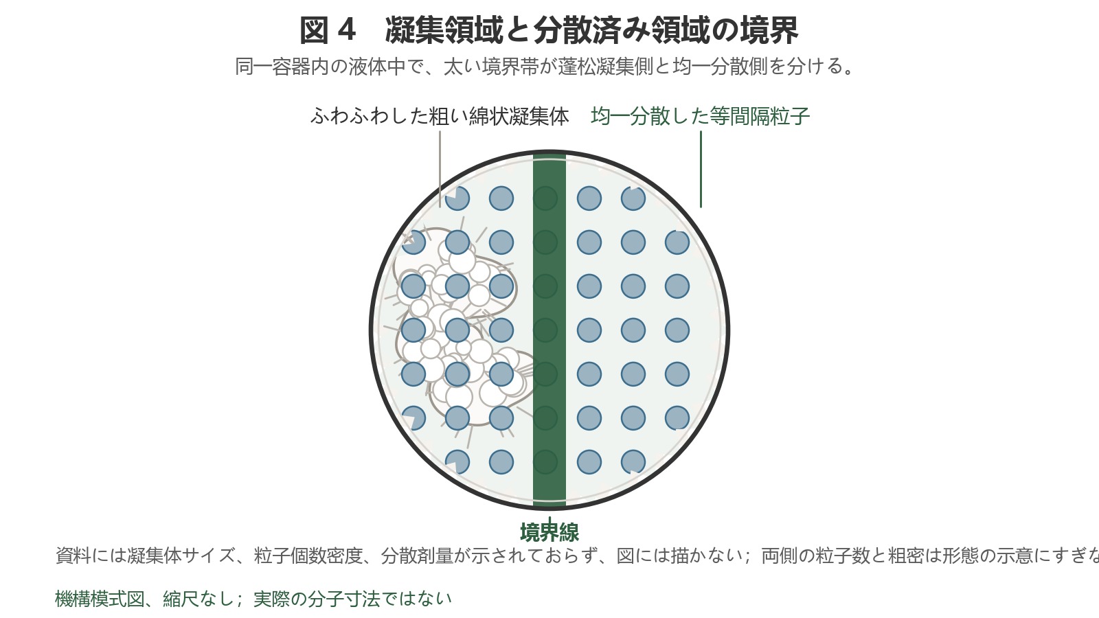 平面図：円形容器内の両側が太い境界線で分かれている。左側は fluffyで粗面の白色絮状凝集塊、右側は均一に分散した等間隔粒子である。