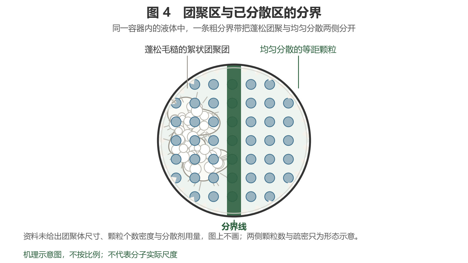 俯视示意图：圆形容器内以一条粗分界线隔开两侧，左侧为蓬松毛糙的白色絮状团聚团，右侧为均匀分散的等距颗粒