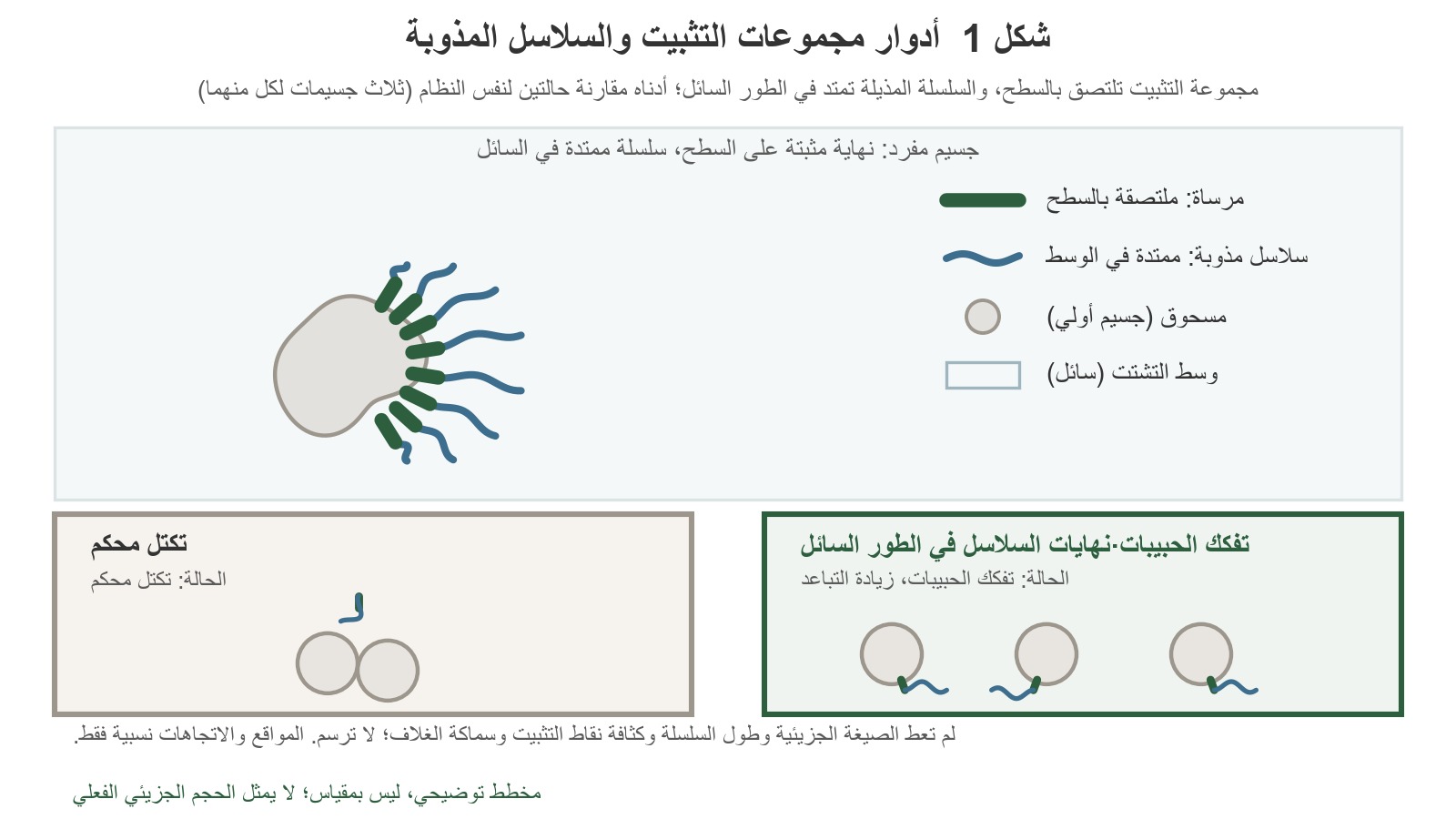 تلتصق مجموعة الارتناء بسطح جسيمات المسحوق، وتمتد السلسلة المُذيِّبة إلى داخل وسيط التشتت؛ ويعرض الجزء السفلي جنبًا إلى جنب حالتين: «جسيمات متجمعة بإحكام» و«جسيمات متباعدة وسناسلها حرة».