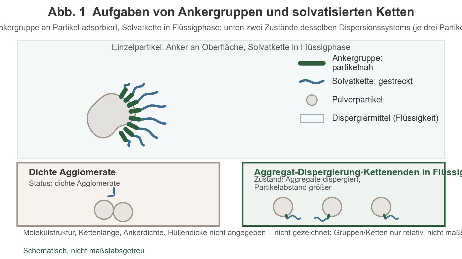 Die Ankergruppe haftet an der Oberfläche der Pulverpartikel, während die solvatisierende Kette in das Dispersionsmedium hineinragt; unten sind die Zustände „Partikel eng agglomeriert“ und „Partikel dispergiert, Kettenenden frei“ nebeneinander dargestellt.