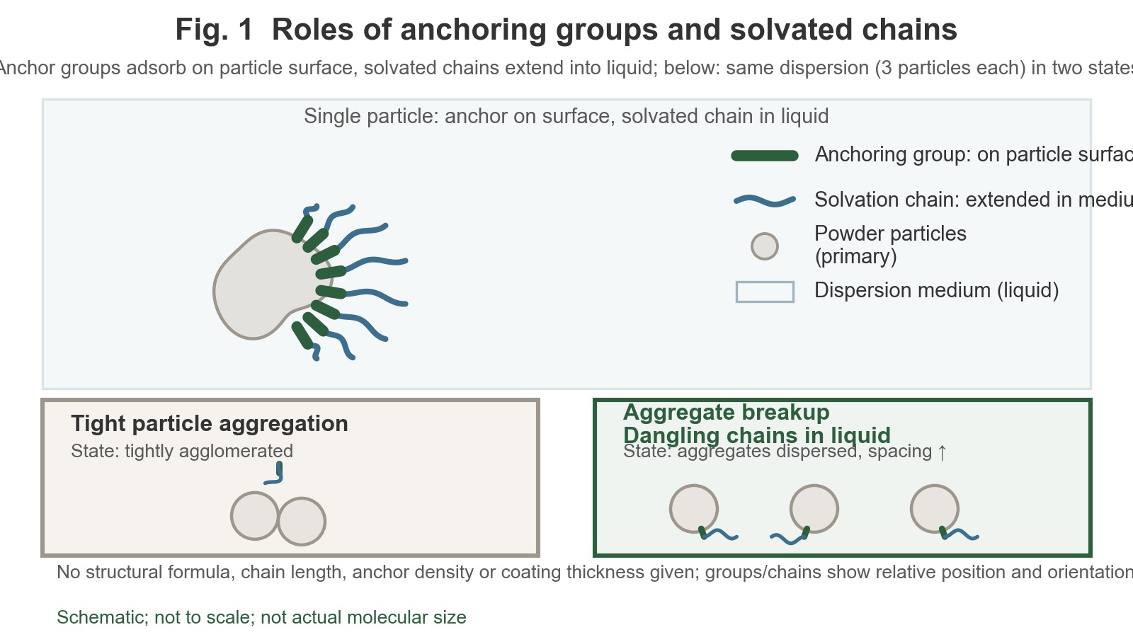 The anchoring group attaches to the surface of the powder particles, while the solvating chains extend into the dispersion medium; below, “particles tightly agglomerated” and “particles dispersed, with free chain ends” are shown side by side.