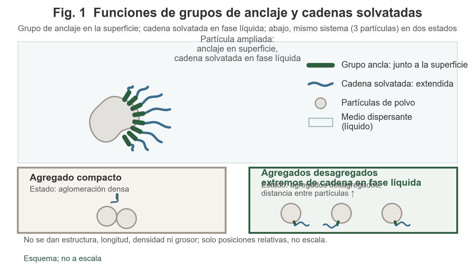 El grupo de anclaje se adhiere a la superficie de las partículas de polvo y la cadena solvatada se extiende hacia el medio de dispersión; debajo se muestran en paralelo dos estados: «partículas fuertemente aglomeradas» y «partículas dispersas con los extremos de las cadenas libres».