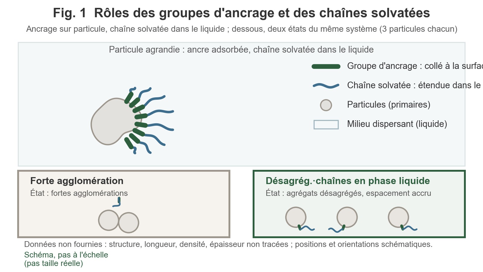 Le groupe d’ancrage est adsorbé à la surface des particules de poudre et la chaîne solvatée pénètre dans le milieu de dispersion ; deux états sont présentés côte à côte en bas : « particules fortement agglutinées » et « particules dispersées, extrémités de chaîne libres ».