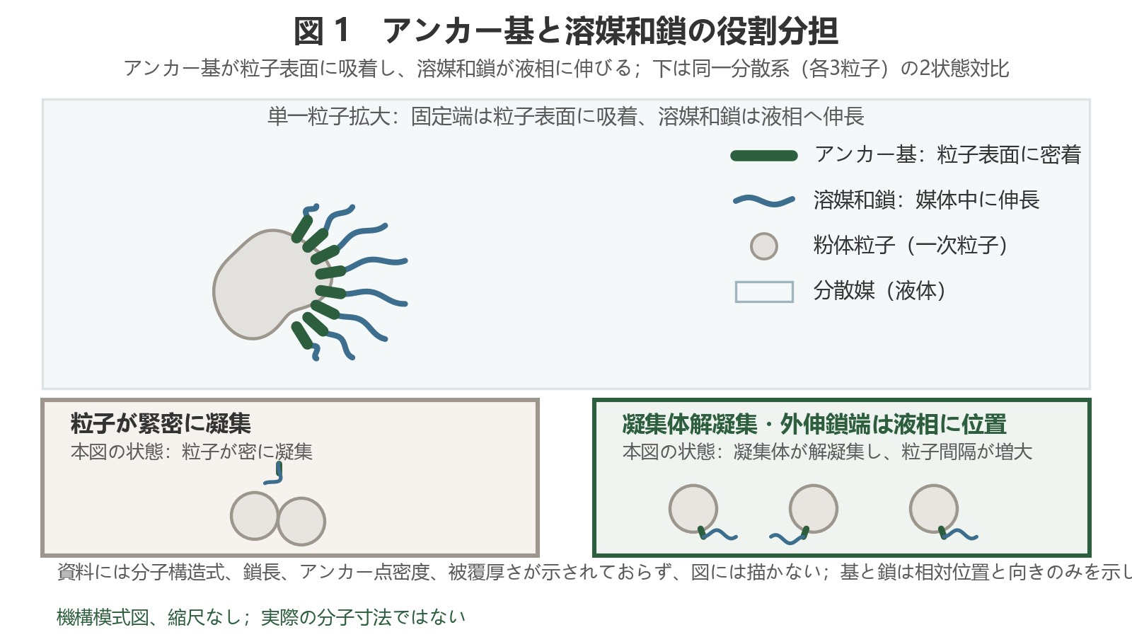 アンカー基が粉体粒子表面に付着し、ソル化鎖が分散媒中に伸びている。下には「粒子が緊密に凝集した状態」と「粒子が分散し、鎖端が遊離した状態」が並んでいる。