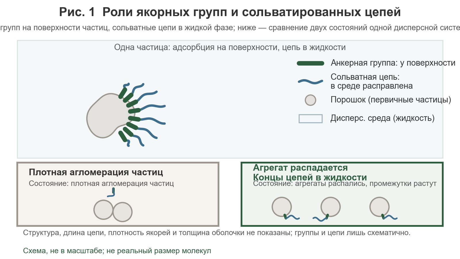 Якорная группа прикреплена к поверхности порошкообразных частиц, а сольватирующая цепь входит в дисперсионную среду; ниже показаны два состояния: «частицы тесно сгруппированы» и «частицы распределены, концы цепей свободны».