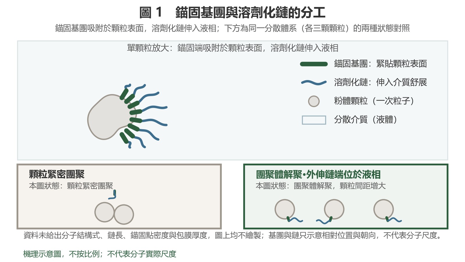 錨定基團貼附於粉體顆粒表面，溶劑化鏈伸入分散介質；下方並列「顆粒緊密團聚」與「顆粒已散開、鏈端游離」兩種狀態